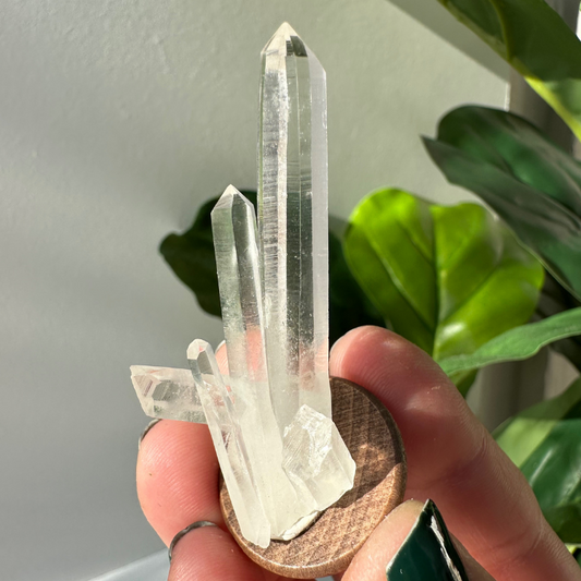 Lemurian Quartz | 03